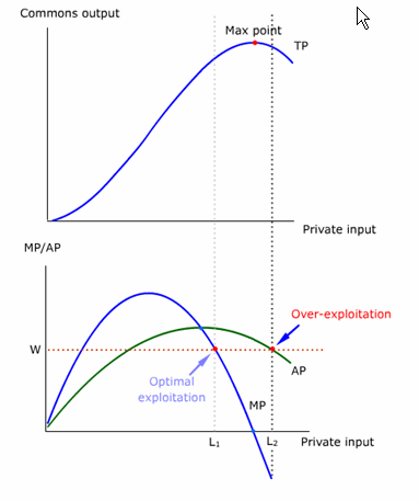 tragedy of the commons